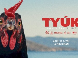 TYÚK - FOTON 